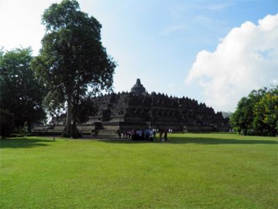 ILW Borobudur Mendut Tempelvoet grasveld Waringin